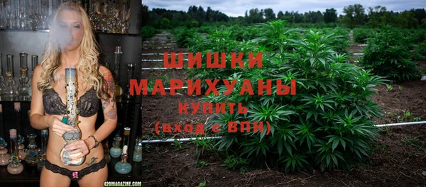 прущие грибы Балабаново