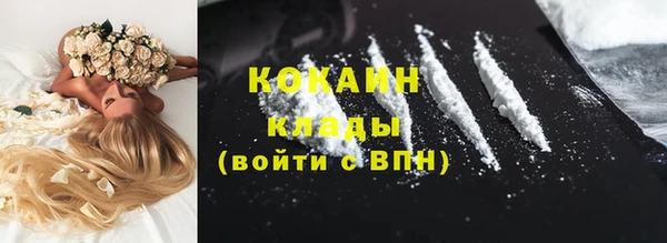 прущие грибы Балабаново