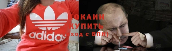 прущие грибы Балабаново