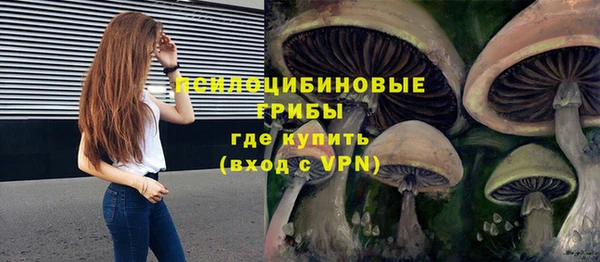 прущие грибы Балабаново
