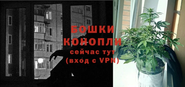 прущие грибы Балабаново